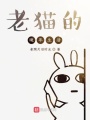 老貓的晚年生活