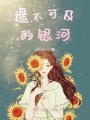 遥不可及的银河