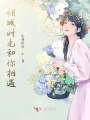 傾城時(shí)光和你相遇