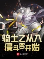 騎士之從入侵斗羅開始