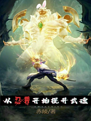 從忍界開始提升武魂