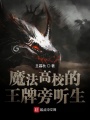 魔法高校的王牌旁聽生