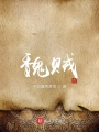 魏賊