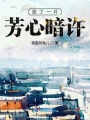 苦了一片芳心暗許