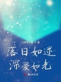 落日如迷深?lèi)?ài)如光