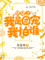 快穿之我是團(tuán)寵我怕誰(shuí)