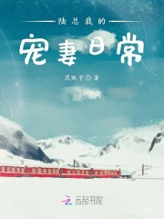 陸總裁的寵妻日常