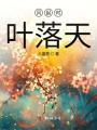風起時葉落天