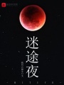 迷途夜