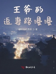 王爺的追妻路漫漫