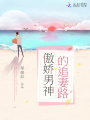 傲嬌男神的追妻路