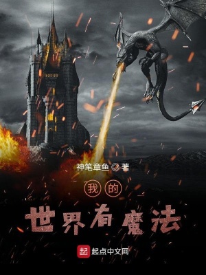 我的世界有魔法