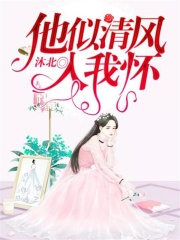 他似清風入我懷