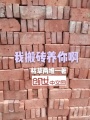 我搬磚養你啊