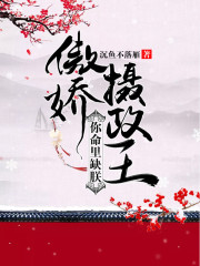 傲嬌攝政王，你命里缺朕
