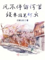 風不停留何苦繞來搖晃燈火
