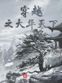 穿越之大華天下