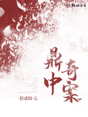 鼎中奇案