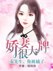 嬌妻很大牌：秦先生，你被捕了