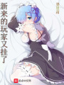 新來(lái)的玩家又掛了