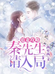 追妻攻略：秦先生，請入局
