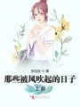 那些被風吹起的日子上部
