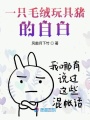 一只毛絨玩具豬的自白