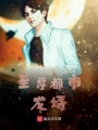 至尊都市龍婿