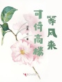 可倚高樓等風(fēng)來