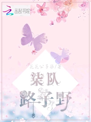 柒隊路子野