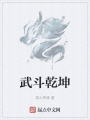 武斗乾坤
