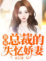 傲嬌總裁的失憶嬌妻