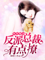 怦然婚動：反派總裁有點撩