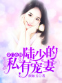 豪門危情：陸少的私有寵妻