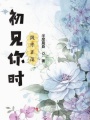 初見(jiàn)你時(shí)風(fēng)華正茂