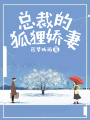 總裁的狐貍嬌妻