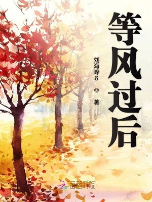 等風過后
