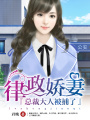 律政嬌妻：總裁大人被捕了
