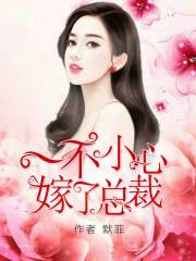 一不小心嫁了總裁