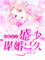 隱婚蜜愛：盛少謀婚已久