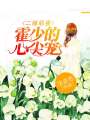 二嫁萌妻：霍少的心尖寵！