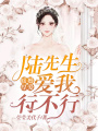 暖婚厚愛：陸先生，愛我行不行