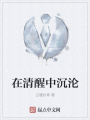 在清醒中沉淪