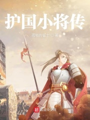 護國小將傳
