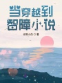 當穿越到智障小說