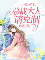 一胎雙寶：總裁大人請克制