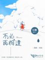 不必再相逢