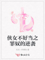 俠女不好當之罪奴的逆襲