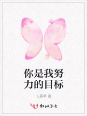 你是我努力的目標