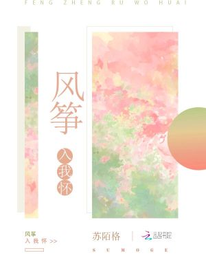 風(fēng)箏入我懷